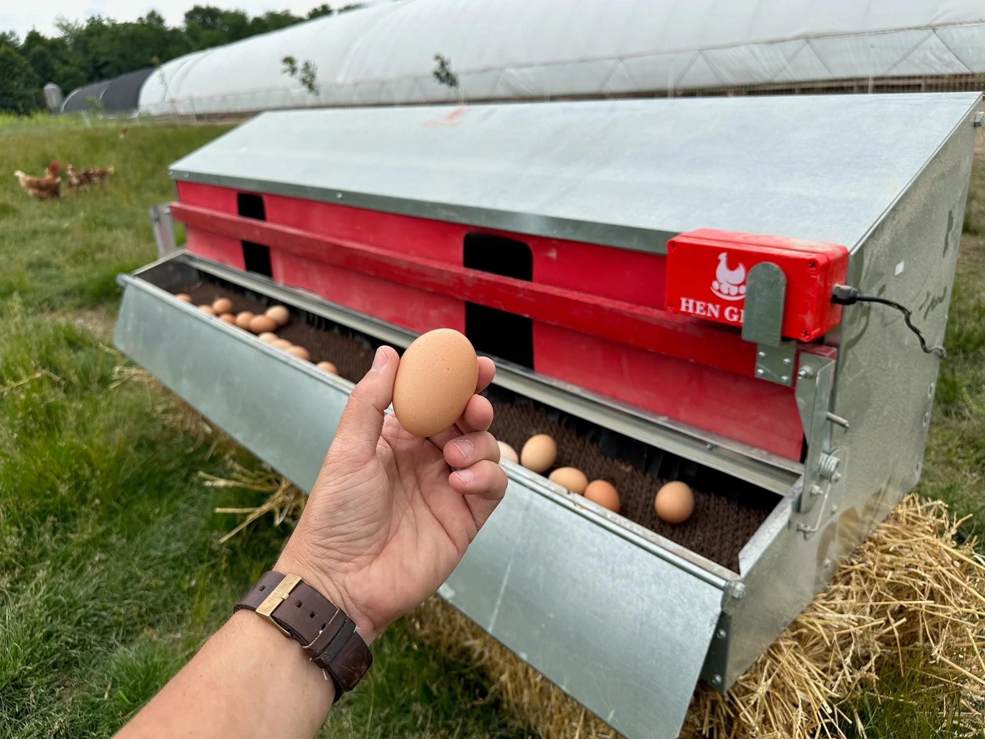 Superior Nests for Healthier Hens